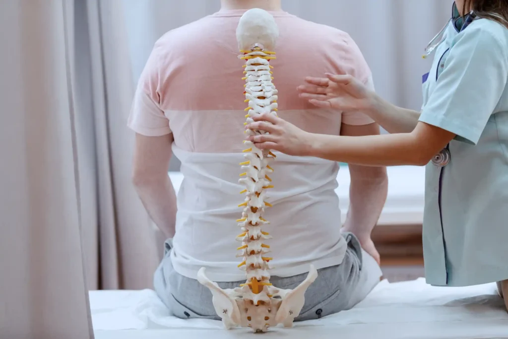 A doctor holding up a spine model up to a patient.
