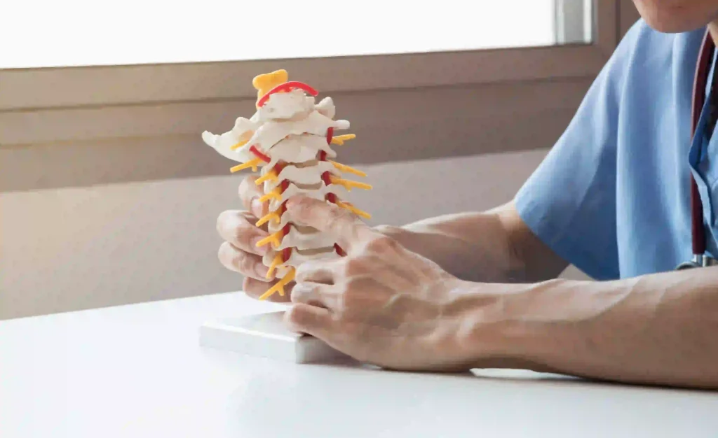 A doctor with a spine model pointing to show a patient.
